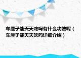 車厘子能天天吃嗎有什么功效呢（車厘子能天天吃嗎詳細介紹）