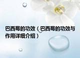 巴西莓的功效（巴西莓的功效與作用詳細(xì)介紹）
