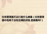 任務(wù)管理器不運行是什么病毒（任務(wù)管理器中有兩個沒有名稱的進程,是病毒嗎?）