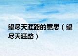 望盡天涯路的意思（望盡天涯路）