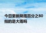今日更新降雨百分之80指的是大雨嗎