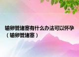 輸卵管堵塞有什么辦法可以懷孕（輸卵管堵塞）