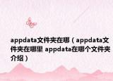 appdata文件夾在哪（appdata文件夾在哪里 appdata在哪個文件夾介紹）