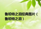 魯珀特之淚經(jīng)典圖片（魯珀特之淚）
