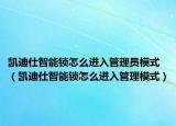 凱迪仕智能鎖怎么進(jìn)入管理員模式（凱迪仕智能鎖怎么進(jìn)入管理模式）