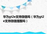 華為gt2e支持微信嗎（華為gt2e支持微信提醒嗎）