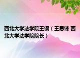 西北大學(xué)法學(xué)院王鋼（王思鋒 西北大學(xué)法學(xué)院院長）