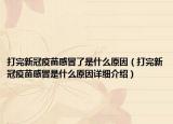 打完新冠疫苗感冒了是什么原因（打完新冠疫苗感冒是什么原因詳細介紹）