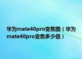 華為mate40pro變焦圖（華為mate40pro變焦多少倍）