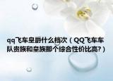 qq飛車皇爵什么檔次（QQ飛車車隊貴族和皇族那個綜合性價比高?）