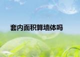 套內(nèi)面積算墻體嗎