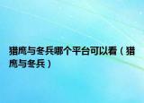 獵鷹與冬兵哪個(gè)平臺(tái)可以看（獵鷹與冬兵）