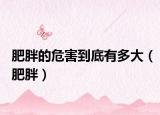 肥胖的危害到底有多大（肥胖）