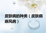 皮膚病的種類（皮膚病麻風?。? /></span></a>
                        <h2><a  title=
