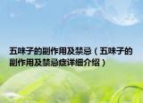 五味子的副作用及禁忌（五味子的副作用及禁忌癥詳細介紹）