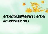 小飛蟲(chóng)怎么消滅小竅門（小飛蟲(chóng)怎么消滅詳細(xì)介紹）