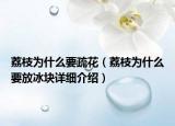 荔枝為什么要疏花（荔枝為什么要放冰塊詳細(xì)介紹）