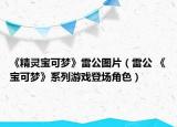 《精靈寶可夢》雷公圖片（雷公 《寶可夢》系列游戲登場角色）