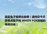 搞笑兔子視頻出自哪（請(qǐng)問您今天要來點(diǎn)兔子嗎 WHITE FOX改編的電視動(dòng)畫）