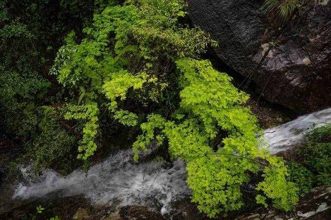 1天之內如何游玩雁蕩山最精華的景區(qū)，這篇攻略你一定要收好