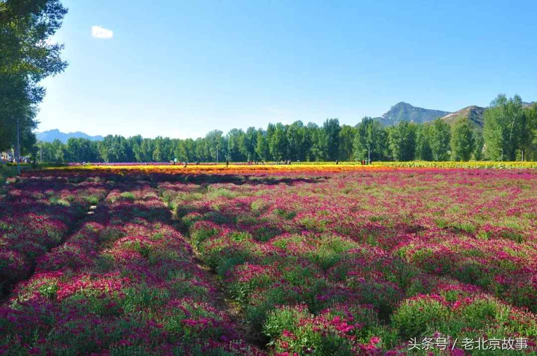 無法形容的美！清明假期北京周邊20處踏青圣地！