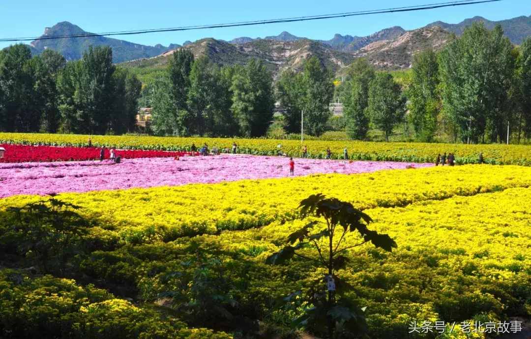 無法形容的美！清明假期北京周邊20處踏青圣地！