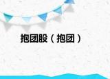 抱團(tuán)股（抱團(tuán)）