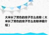 大米長了黑色的蟲子怎么去除（大米長了黑色的蟲子怎么去除詳細(xì)介紹）