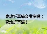 高地折耳貓會發(fā)病嗎（高地折耳貓）