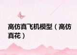 高仿真飛機模型（高仿真花）