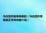 馬齒莧吃起來酸酸的（馬齒莧炒菜發(fā)酸正常嗎詳細(xì)介紹）