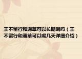 王不留行和通草可以長(zhǎng)期喝嗎（王不留行和通草可以喝幾天詳細(xì)介紹）
