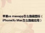 蘋果xs maxapp怎么隱藏圖標(biāo)（iPhoneXs Max怎么隱藏應(yīng)用）
