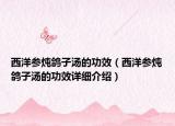 西洋參燉鴿子湯的功效（西洋參燉鴿子湯的功效詳細介紹）