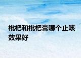枇杷和枇杷膏哪個止咳效果好