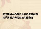 天津研發(fā)中心有多少套房子現(xiàn)在有賣節(jié)日漫步嗎我應(yīng)該如何查詢