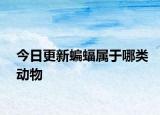 今日更新蝙蝠屬于哪類動物