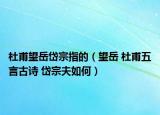 杜甫望岳岱宗指的（望岳 杜甫五言古詩 岱宗夫如何）