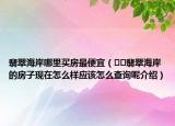 翡翠海岸哪里買房最便宜（??翡翠海岸的房子現(xiàn)在怎么樣應(yīng)該怎么查詢呢介紹）