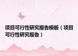 項(xiàng)目可行性研究報(bào)告模板（項(xiàng)目可行性研究報(bào)告）