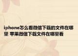 iphone怎么看微信下載的文件在哪里 蘋果微信下載文件在哪里看