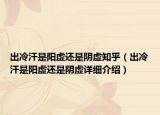 出冷汗是陽(yáng)虛還是陰虛知乎（出冷汗是陽(yáng)虛還是陰虛詳細(xì)介紹）