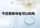 今日更新烏龜可以吃嗎