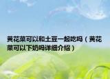 黃花菜可以和土豆一起吃嗎（黃花菜可以下奶嗎詳細(xì)介紹）