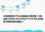 ie瀏覽器安裝了flash還是提示沒(méi)有安裝（已經(jīng)安裝了Adobe Flash Player for IE 為什么還是看不到網(wǎng)頁(yè)里頭的圖片）