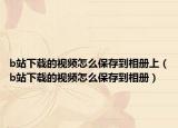 b站下載的視頻怎么保存到相冊上（b站下載的視頻怎么保存到相冊）