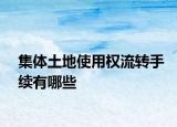 集體土地使用權(quán)流轉(zhuǎn)手續(xù)有哪些