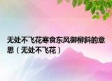 無(wú)處不飛花寒食東風(fēng)御柳斜的意思（無(wú)處不飛花）