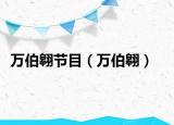 萬伯翱節(jié)目（萬伯翱）