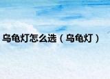 烏龜燈怎么選（烏龜燈）
